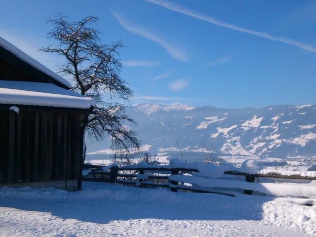 Almhütte "Günzberg" in Saalfelden