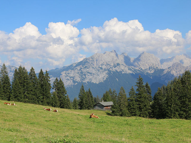 Wastlalm & Bauernhaus Loderbichl