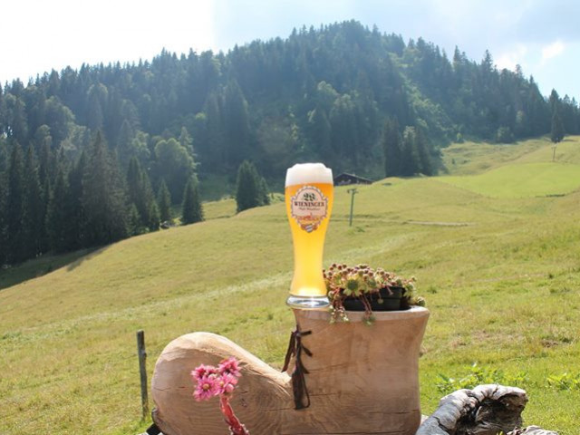 Jausenstation Wildalm