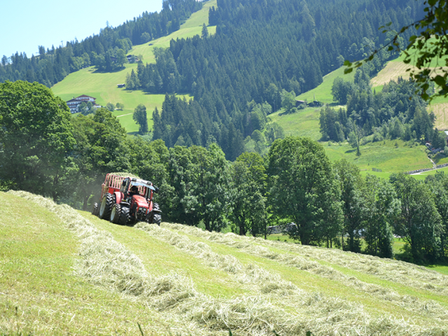 Ferienhütten Leitengut