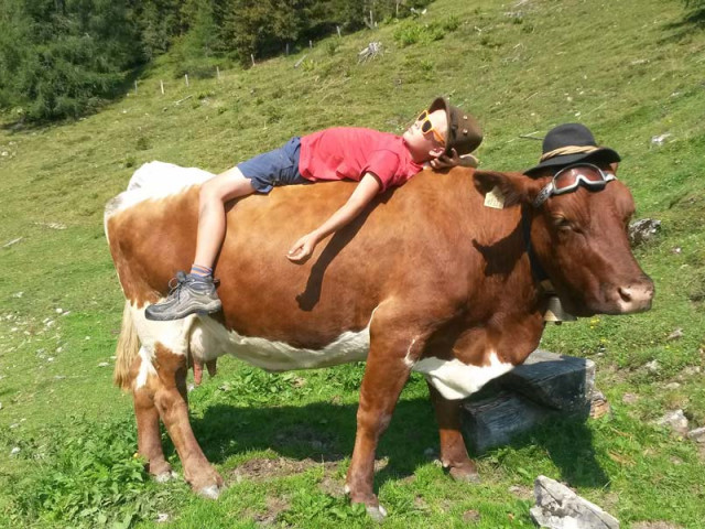 Almhütte Schaidlhof