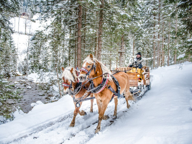 Almhütte Schaidlhof
