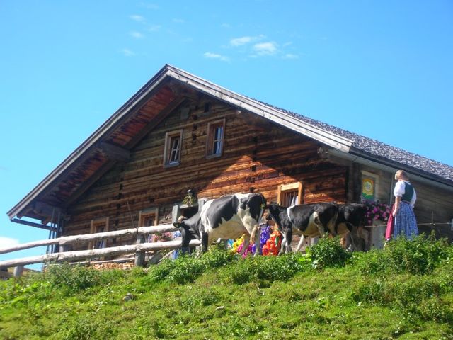 Almhütte Müllergut