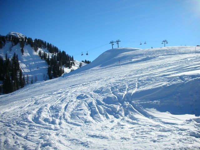 Almhütte Müllergut