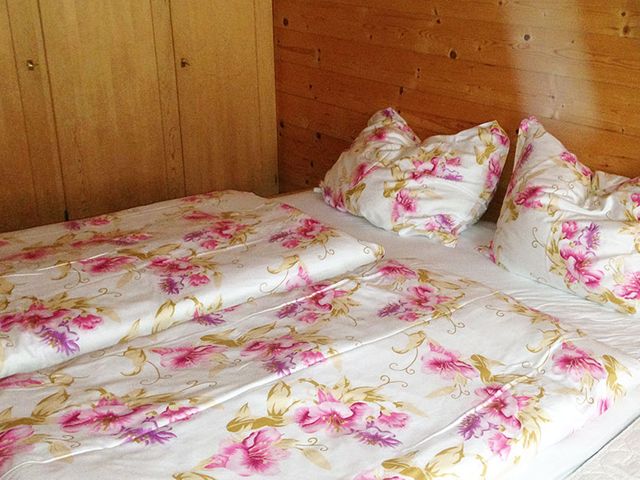 Bergmannsegg Almhütte Leogang