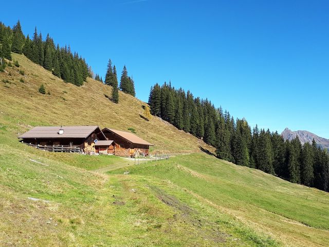 Almhütte Vorderkaser