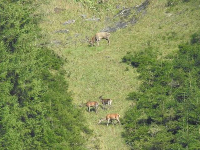 Almhütte Vorderkaser