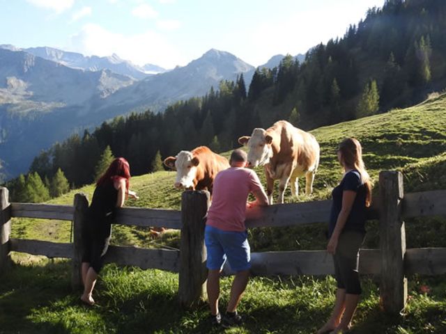 Almhütte Vorderkaser