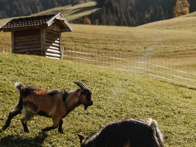 Familienbauernhöfe Großarltal