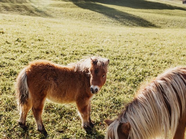 Familienbauernhöfe Großarltal