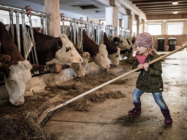 Familienbauernhöfe Großarltal