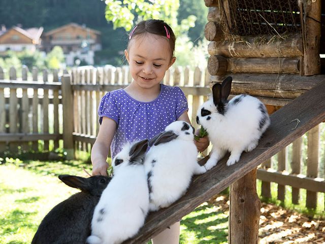 Familienbauernhöfe Großarltal