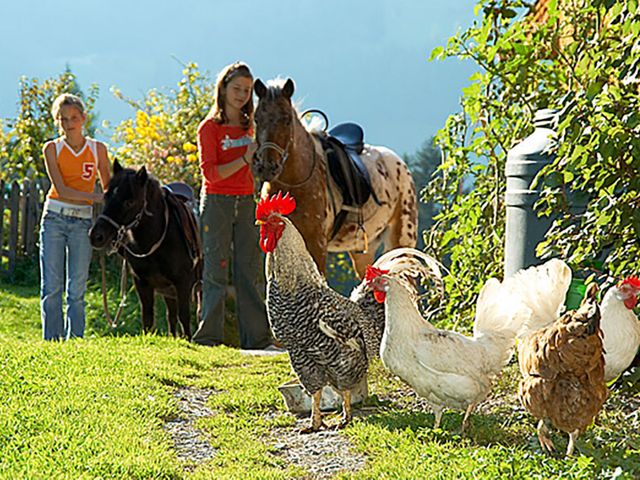 Familienbauernhöfe Großarltal