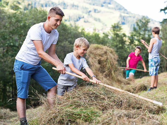 Familienbauernhöfe Großarltal