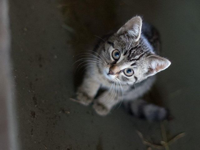 Familienbauernhöfe Großarltal