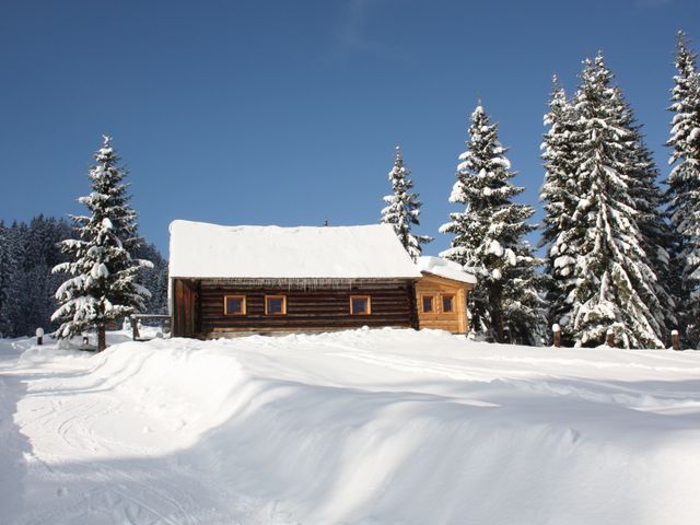 Almhütte in Gosau Salzkammergut GAM-OOE