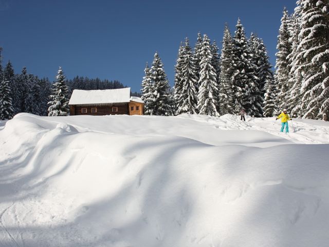 Almhütte in Gosau Salzkammergut GAM-OOE