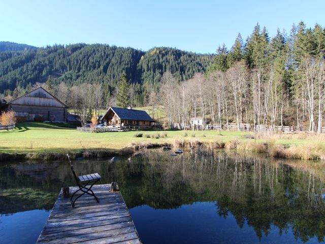 Almhütte in Gosau SPI-OOE