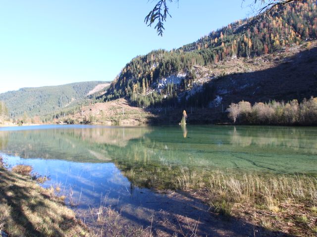 Almhütte in Gosau SPI-OOE