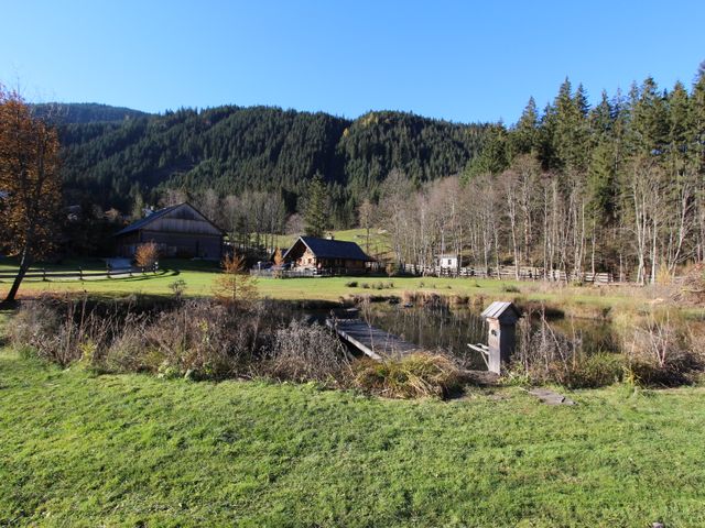 Almhütte in Gosau SPI-OOE
