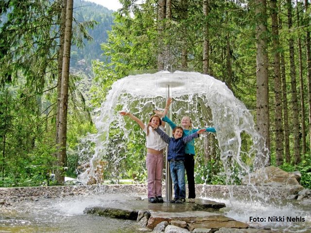 Almhütte in Gosau SPI-OOE
