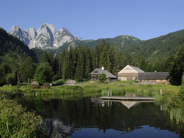 Almhütte in Gosau SPI-OOE