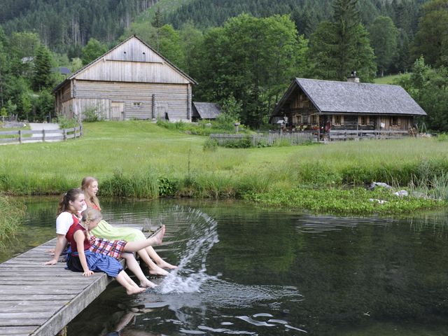 Almhütte in Gosau SPI-OOE
