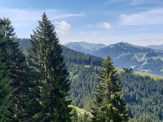 Almhütte in Kitzbühel HOS-TIR