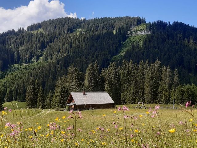 Almhütte in Abtenau im Salzburger Land JOS-SBG