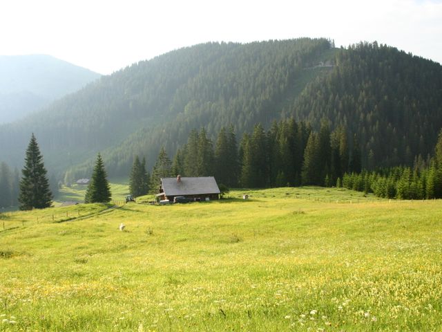 Almhütte in Abtenau im Salzburger Land JOS-SBG