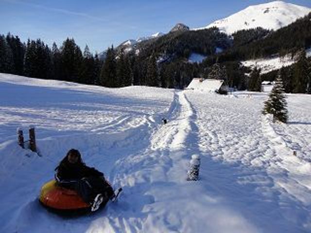 Almhütte in Abtenau im Salzburger Land JOS-SBG