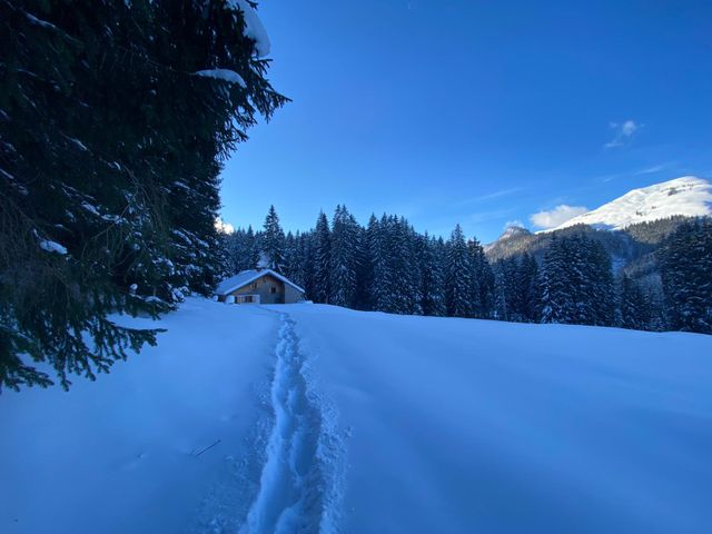 Almhütte in Abtenau POS-SBG