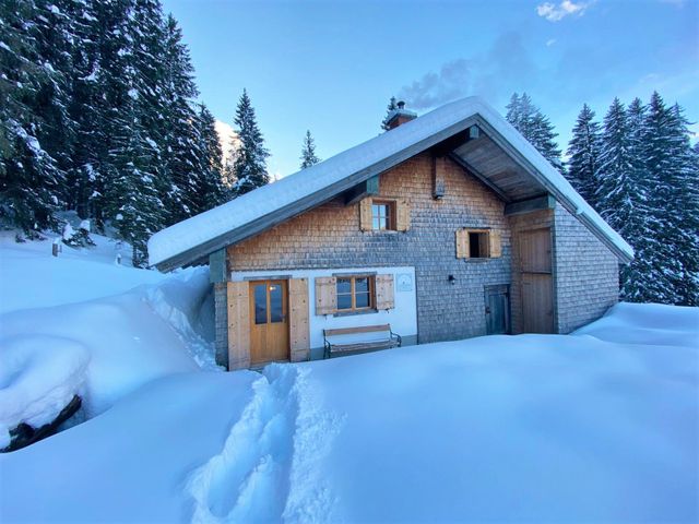 Almhütte in Abtenau POS-SBG