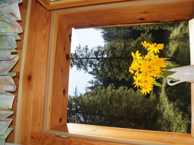 Almhütte in Abtenau POS-SBG