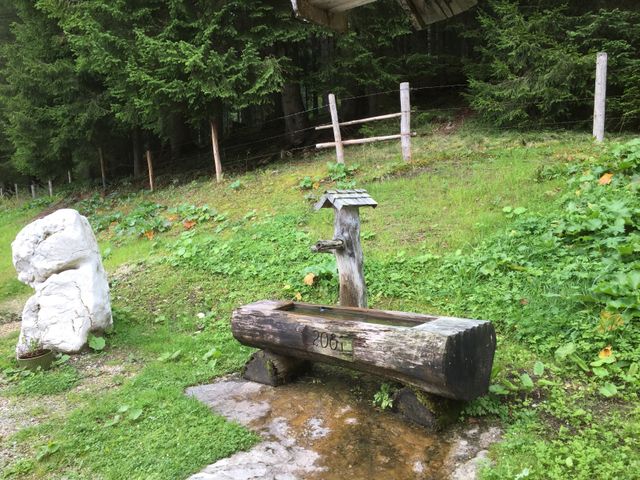 Almhütte in Abtenau POS-SBG