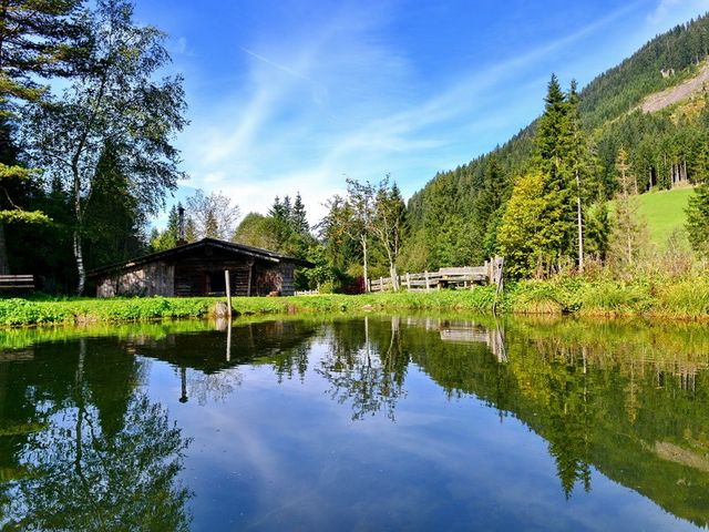 Almhütte in der Ramsau-Steiermark FIS-STM