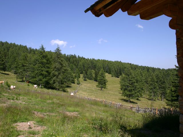 Almhütte mit Aussicht in Falkert Kärnten FAL-KTN