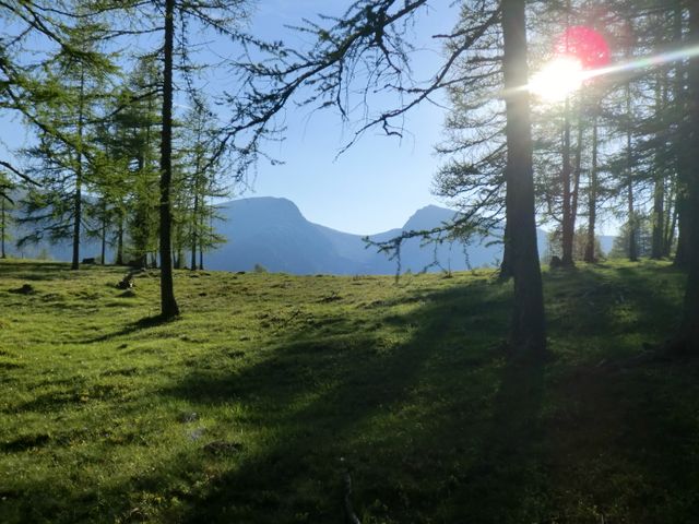 Almhütte mit Aussicht in Falkert Kärnten FAL-KTN