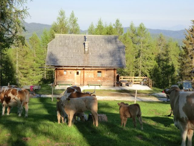 Almhütte mit Aussicht in Falkert Kärnten FAL-KTN