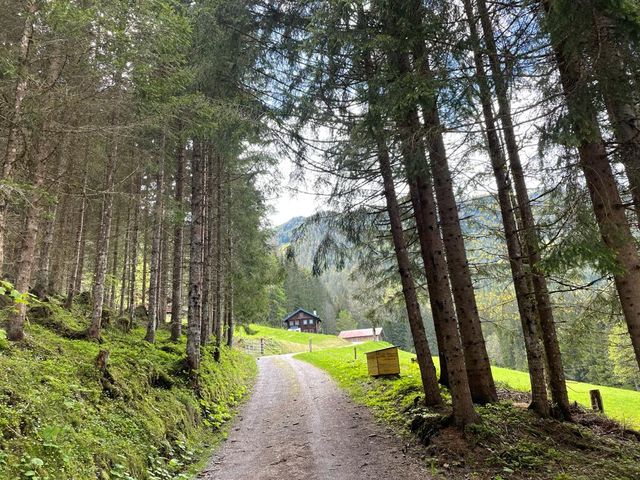 Almhütte in Niedernfritz WOR-SBG