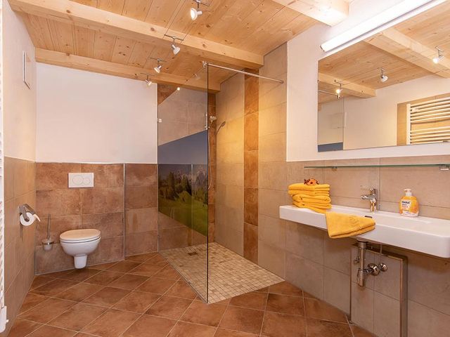 Almhütte auf der Loferer Alm-Salzburg ANI-SBG