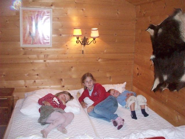 Almhütte in Lofer SID-SBG