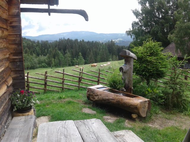 Almhütte in Preitenegg - Kärnten IPO-KTN