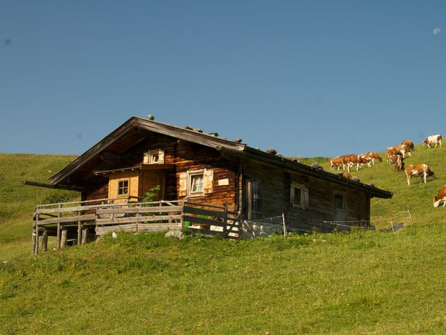 Almhütte in Lofer im Saalachtal NAP-SBG