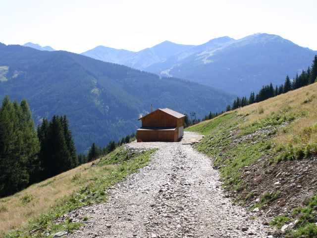 Almhütte in Viehhofen SDL-SBG