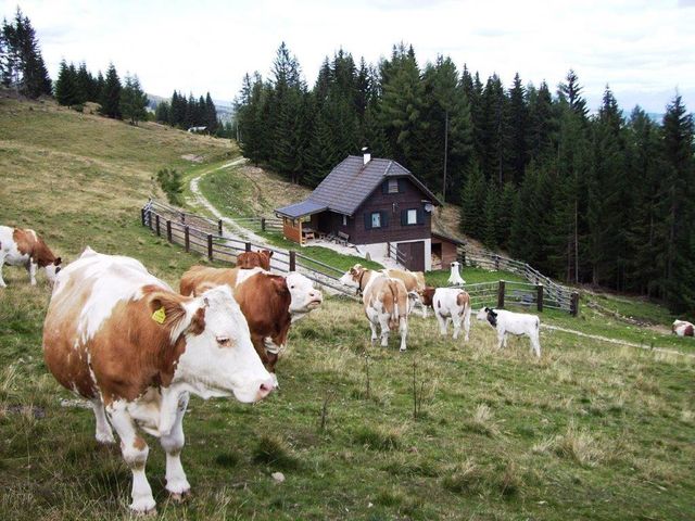 Almhütte in Wolfsberg in Kärnten FRI-KTN