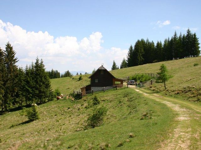 Almhütte in Wolfsberg in Kärnten FRI-KTN