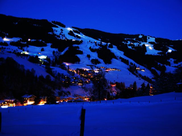 Almhütte im Wander-Bike-Skiparadies Saalbach STO-SBG