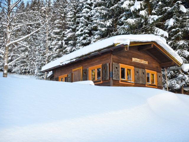 Almhütte im Wander-Bike-Skiparadies Saalbach STO-SBG