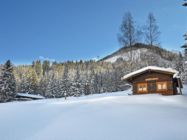 Almhütte im Wander-Bike-Skiparadies Saalbach STO-SBG